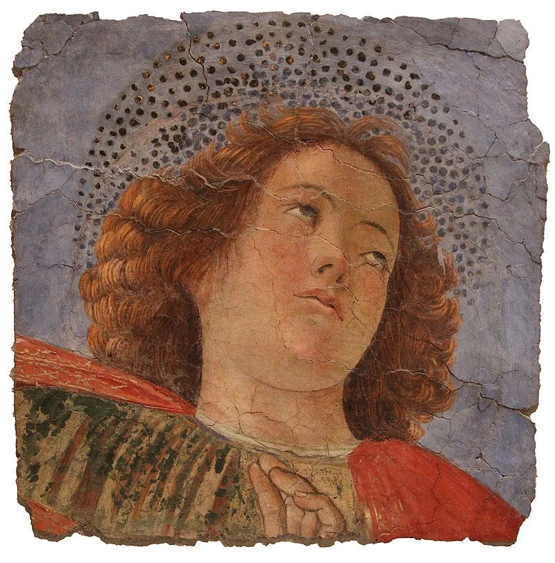 Da Forli - Un apostolo, Musei Vaticani